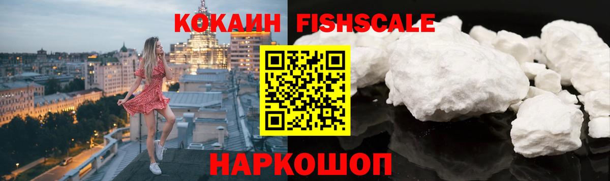 COCAIN  COCAIN Fish Scale  Вход с VPN  Георгиевск 