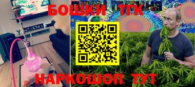 ECSTASY Камышлов
