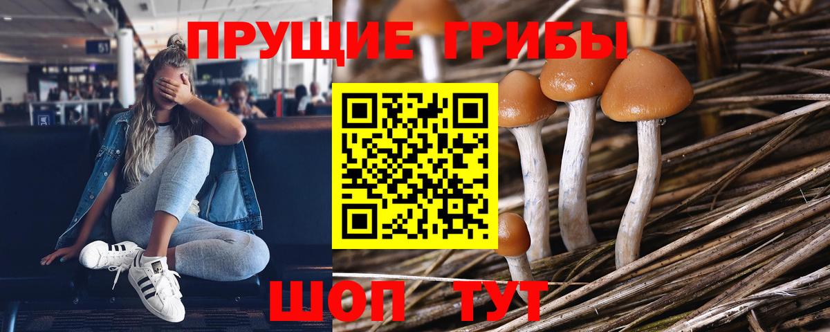 Галлюциногенные грибы Magic Shrooms  Вход с VPN  Георгиевск 